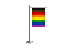 3d Poc Pride Standing Flag flag