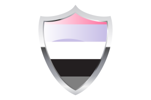 Apressexual Flag with Medieval Heater Shield flag