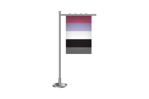3d Apressexual Standing Flag flag