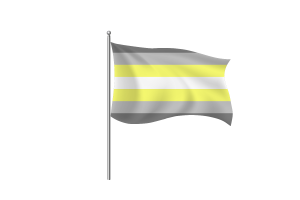 Demigender Flag symbol flag