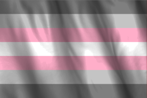 National Flag of Demigirl flag