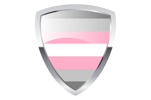 Demigirl Shield Flag flag