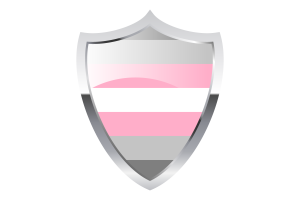 Demigirl Flag with Medieval Heater Shield flag