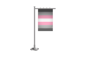 3d Demigirl Standing Flag flag