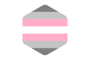 Demigirl Flag Rounded Hexagon Shape flag