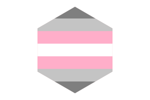 Demigirl Flag Hexagon Shape flag