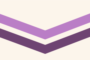 Flag of Queer Chevron flag