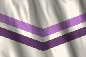 National Flag of Queer Chevron flag