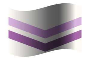 Queer Chevron Flag flag