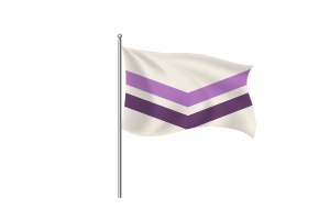 Queer Chevron Flag symbol flag
