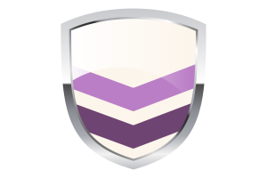 National Flag of Queer Chevron Clipart flag