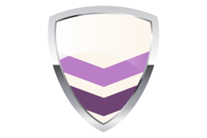 Queer Chevron Shield Flag flag