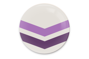 Queer Chevron Flag Vector Art flag