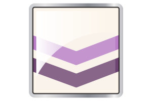 Queer Chevron Flag Square icon flag