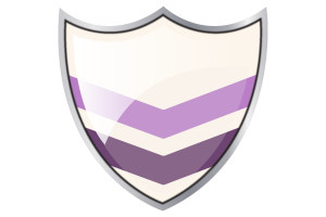Shield with Flag of Queer Chevron flag