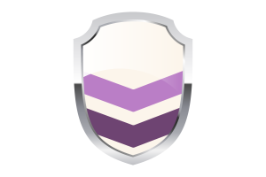 Queer Chevron Shield Logo flag