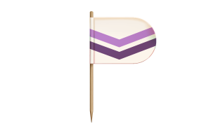 Queer Chevron Flag for Desk, Table flag