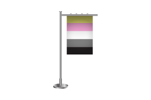 3d Queerplatonic Standing Flag flag