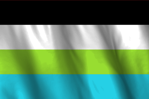 National Flag of Quoisexual flag