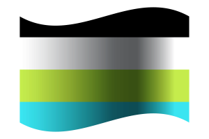 Quoisexual Flag flag