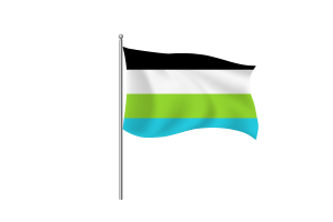 Quoisexual Flag symbol flag