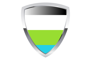 Quoisexual Shield Flag flag