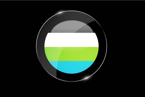 Quoisexual Flag Glossy Round Button flag