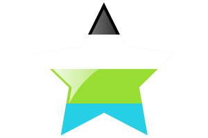 Quoisexual Flag Star Icon flag