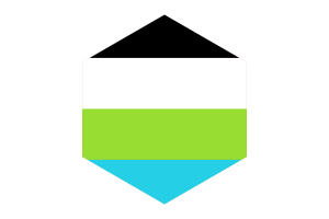 Quoisexual Flag Hexagon Shape flag