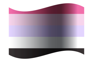 Reciprosexual Flag flag