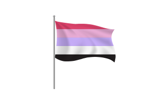 Reciprosexual Flag symbol flag