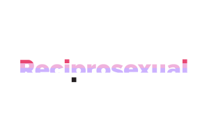 Reciprosexual Text Art flag