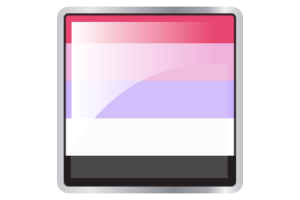 Reciprosexual Flag Square icon flag