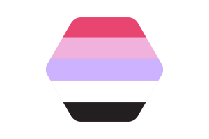 Reciprosexual Flag Vector Illustration flag