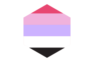Reciprosexual Flag Hexagon Shape flag