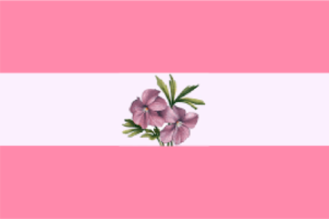 Flag of Sapphic flag