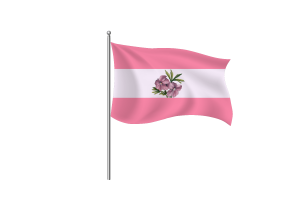 Sapphic Flag symbol flag