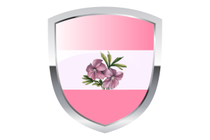 National Flag of Sapphic Clipart flag