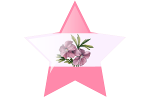 Sapphic Flag Star Icon flag
