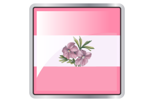 Sapphic Flag Square icon flag