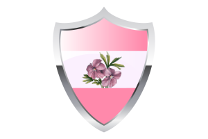 Sapphic Flag with Medieval Heater Shield flag