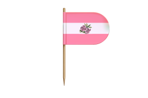 Sapphic Flag for Desk, Table flag
