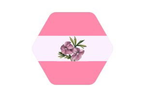 Sapphic Flag Vector Illustration flag