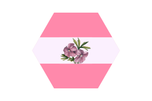 Sapphic Flag Vector Free | SVG and PNG flag