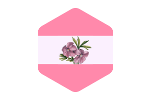 Sapphic Flag Rounded Hexagon Shape flag
