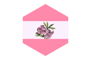 Sapphic Flag Hexagon Shape flag