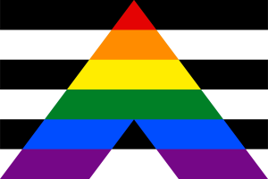 Flag of Straight Ally flag