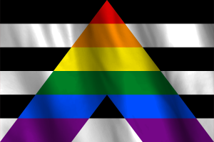 National Flag of Straight Ally flag