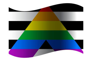Straight Ally Flag flag