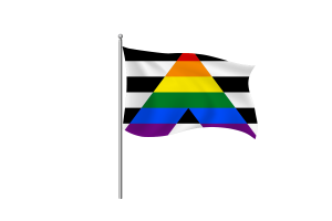 Straight Ally Flag symbol flag